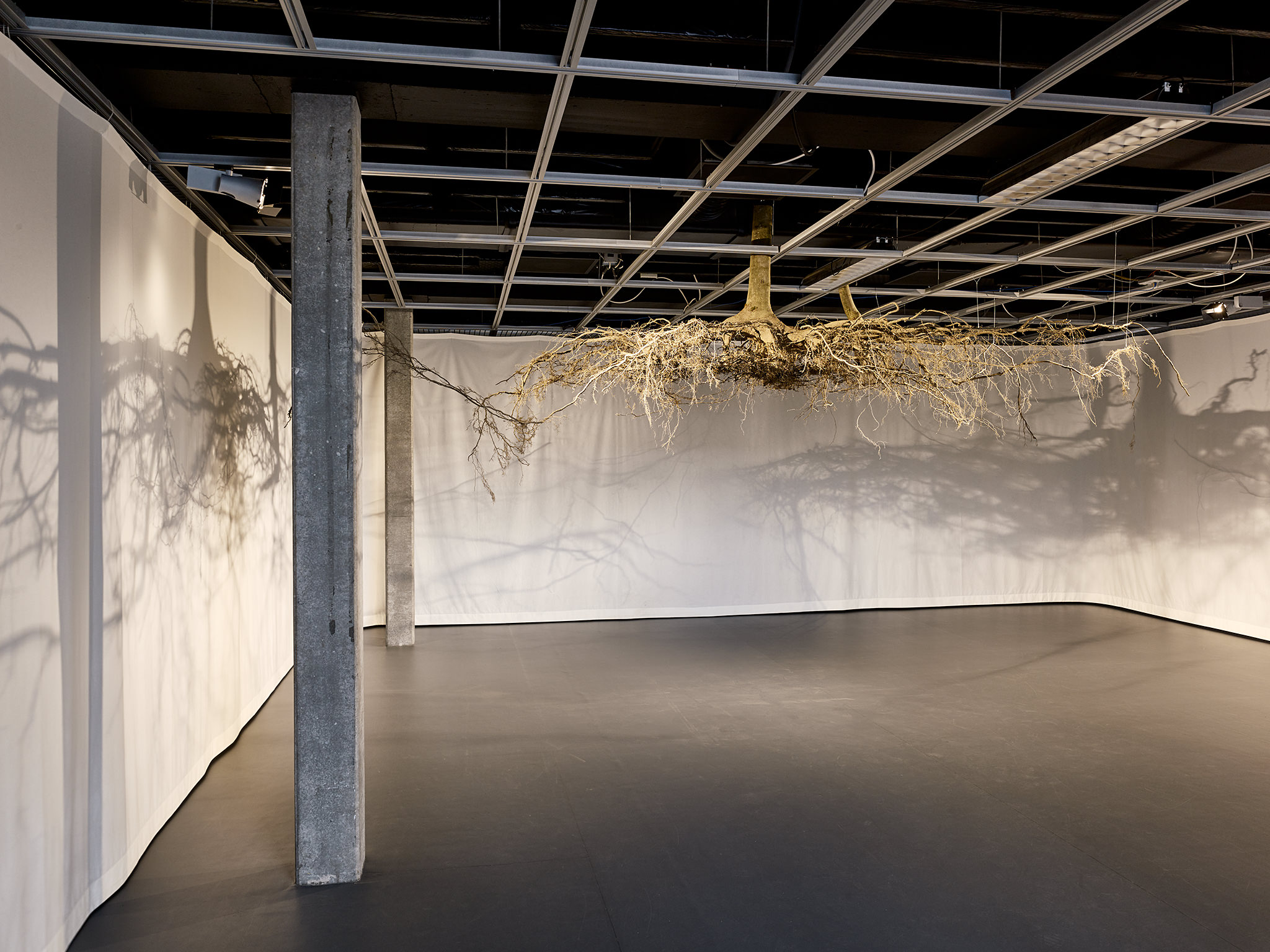 LIVE MATTER - Design Vegetal